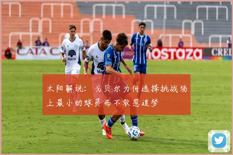 太阳解说：戈贝尔为何选择挑战场上最小的球员而不敢惹追梦