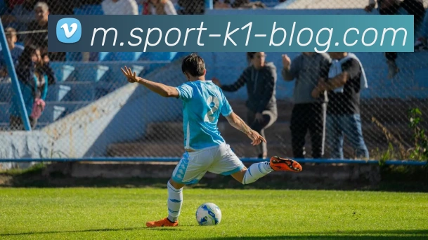 k1体育平台生态图