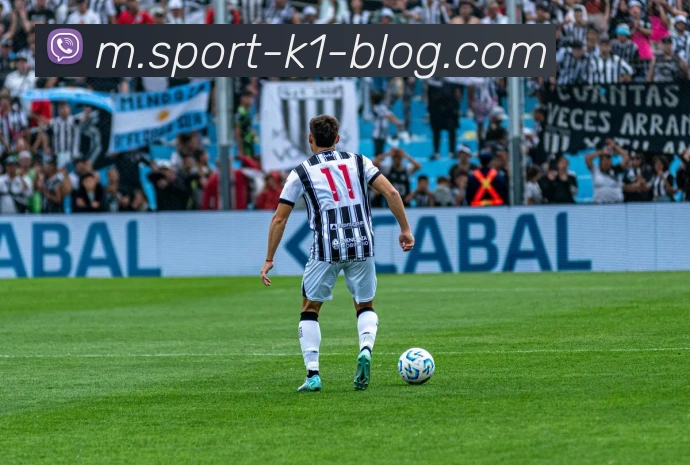 k1体育APP 封面图